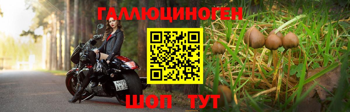 Галлюциногенные грибы Magic Shrooms  Вход с VPN  Россошь  Псилоцибиновые грибы Cubensis 